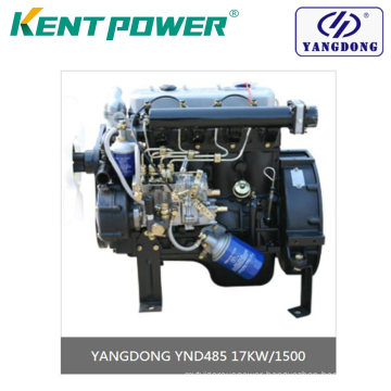 Yangdong Diesel Engine Yangdong Ynd485 17kw for Sale